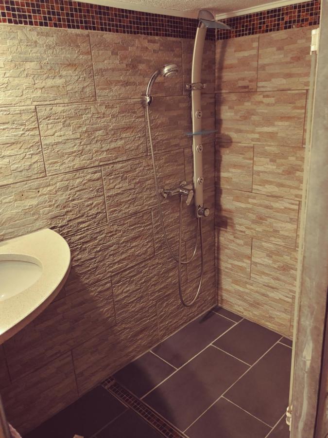 Appartment De Luxe Mit Sauna Braunschweig Eksteriør bilde