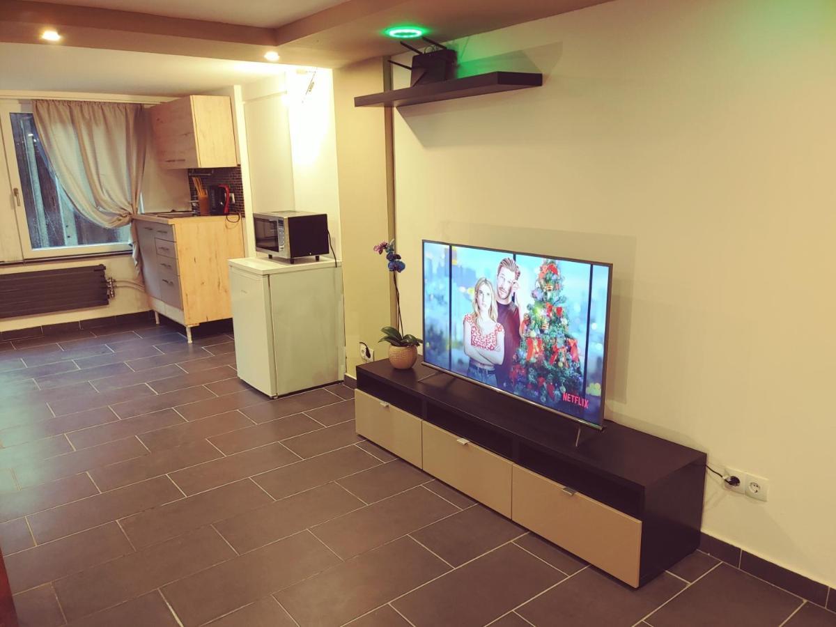 Appartment De Luxe Mit Sauna Braunschweig Eksteriør bilde